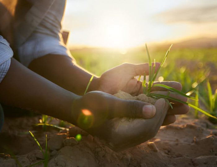 Agriculteur tenant du sol